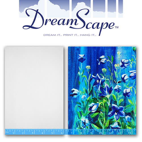 Dreamscapes Digital Media CAVIAR White Floor & Wall Wraps